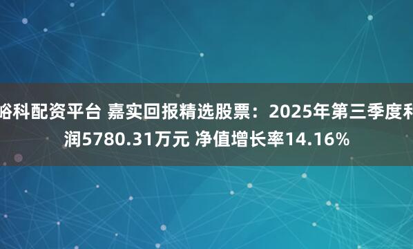 峪科配资平台 嘉实回报精选股票：2025年第三季度利润5780.31万元 净值增长率14.16%