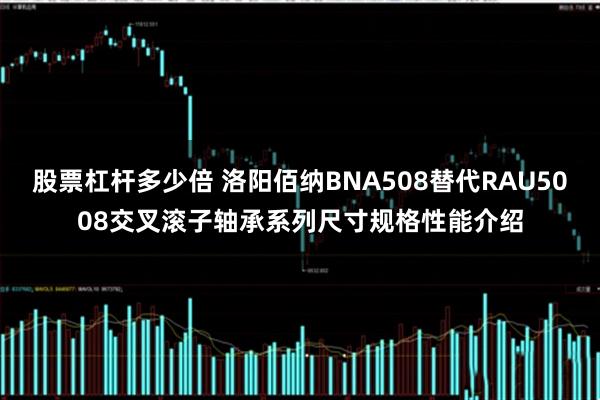 股票杠杆多少倍 洛阳佰纳BNA508替代RAU5008交叉滚子轴承系列尺寸规格性能介绍