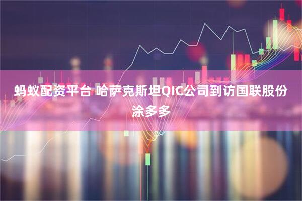 蚂蚁配资平台 哈萨克斯坦QIC公司到访国联股份涂多多