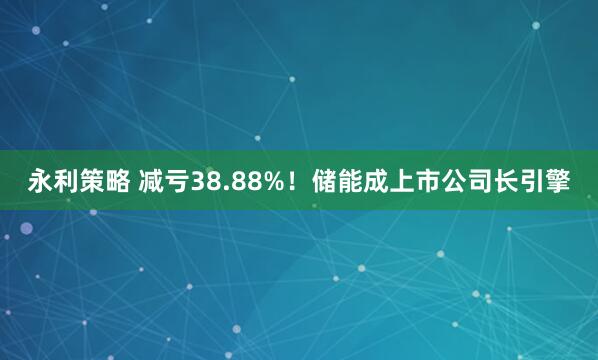 永利策略 减亏38.88%！储能成上市公司长引擎