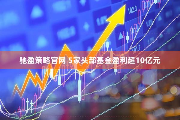 驰盈策略官网 5家头部基金盈利超10亿元